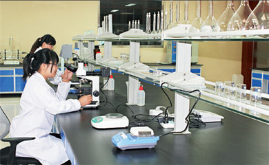 英科医疗再获麦克森大奖，引领医疗器械互联网信息服务新篇章